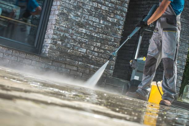 Animal Enclosure Cleaning in Fair Oaks, GA