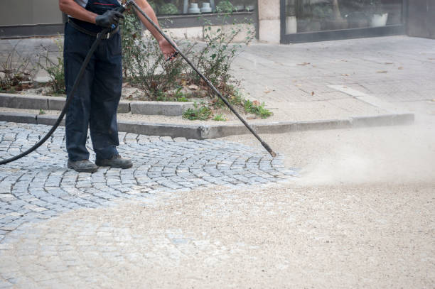 Best Driveway Pressure Washing  in Fair Oaks, GA